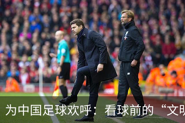 为中国足球欢呼：看球前的“文明宝典