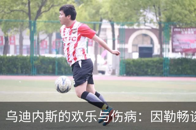 乌迪内斯的欢乐与伤病：因勒畅谈扎尼奥洛重返国家队的喜悦