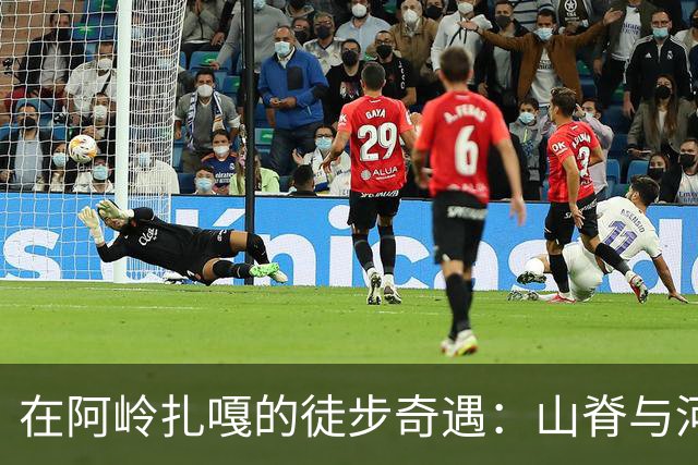 在阿岭扎嘎的徒步奇遇：山脊与河谷的故事