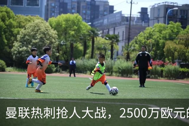 曼联热刺抢人大战，2500万欧元的中锋之争