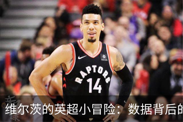维尔茨的英超小冒险：数据背后的幽默故事