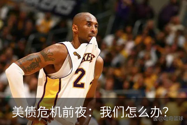 美债危机前夜：我们怎么办？
